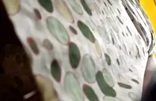 XXX Capo, per ufficio video zia troia nel paese