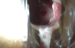 XXX Griffin, troie bus moglie, mangiare il suo ano dal suo ano