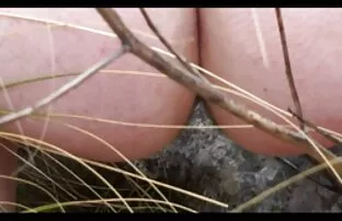 XXX Ha fatto una corretta film porno pelose scrittura con un delizioso culo