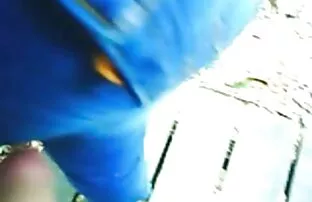 XXX Mia moglie donne bellissime xxx è caduto sesso